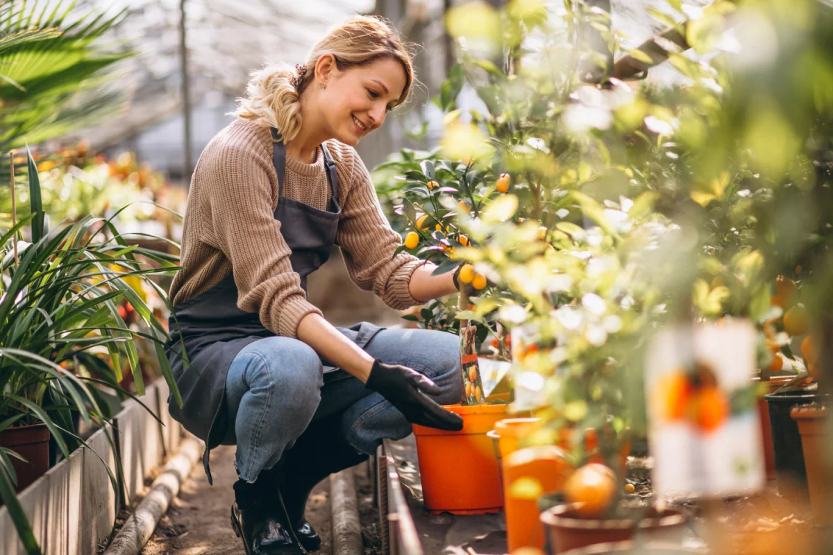 Porównanie rejestrów produktów i opakowań w Hiszpanii: Ecoembes, Ecoembalajes i systemy regionalne